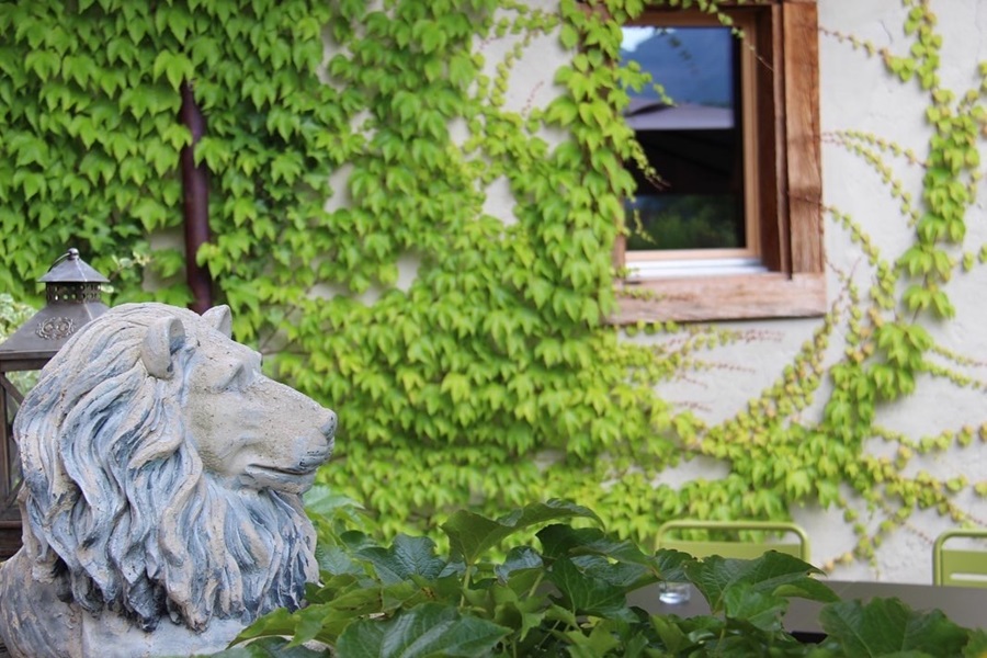 Terrasse hinter dem Hotel